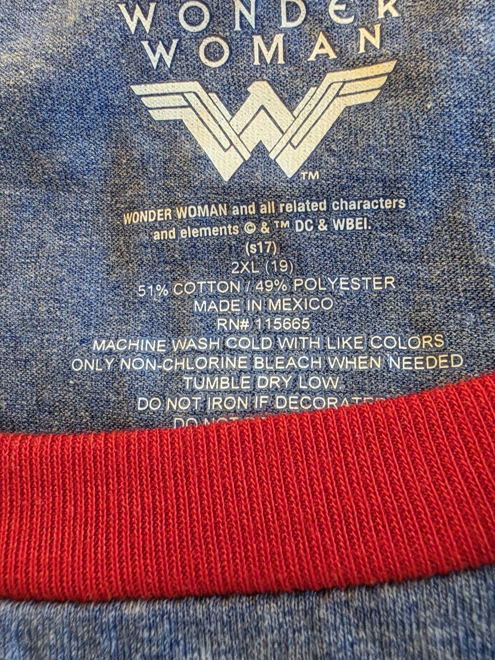 Women's Blue Heather Graphic Sweater with Red Trim